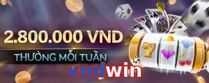 vndwin